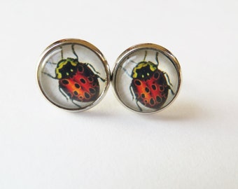 Ladybug Earrings, Red ladybird, silver jewelry, Glass Earrings, Bug post earrings, Stud insect earrings