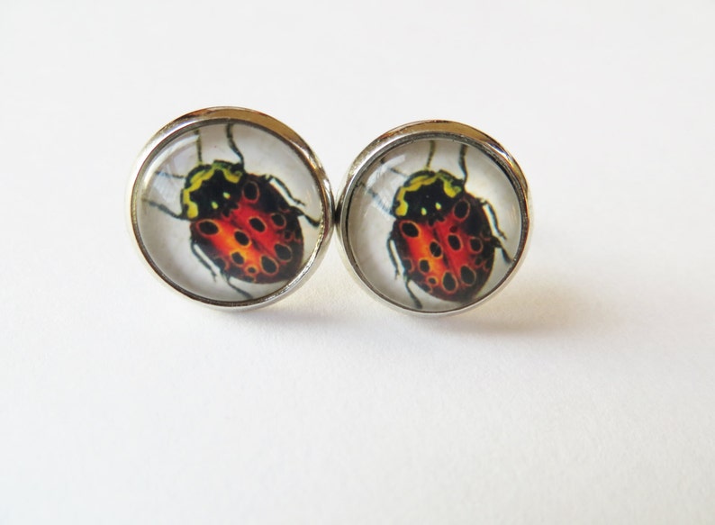 Ladybug Earrings, Red ladybird, silver jewelry, Glass Earrings, Bug post earrings, Stud insect earrings image 1