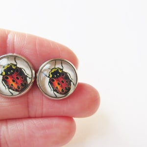 Ladybug Earrings, Red ladybird, silver jewelry, Glass Earrings, Bug post earrings, Stud insect earrings image 2