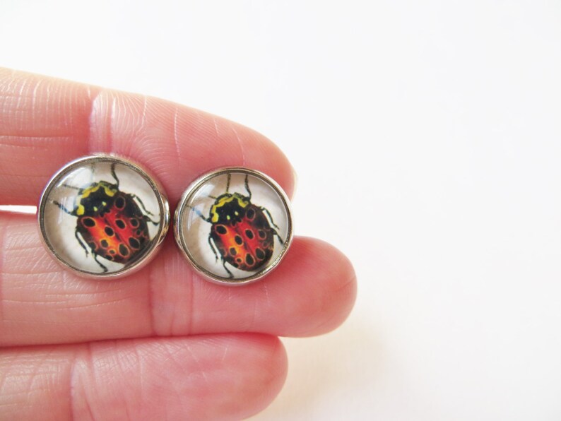 Ladybug Earrings, Red ladybird, silver jewelry, Glass Earrings, Bug post earrings, Stud insect earrings image 2