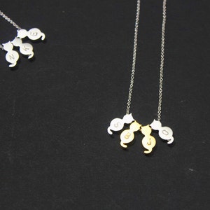 Collar con iniciales de gato: joyas de gatito en oro y plata, collar con monograma, joyas para abuelas, monograma personalizado para mascotas, joyas para amantes de las mascotas