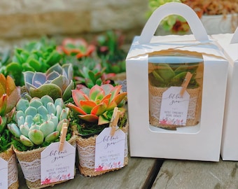 Wedding Succulent Party Favors Gift with Burlap Rustic, Set of 10, Wedding Days Favors, Birthday Succulent Favors, Bridal Shower Favors