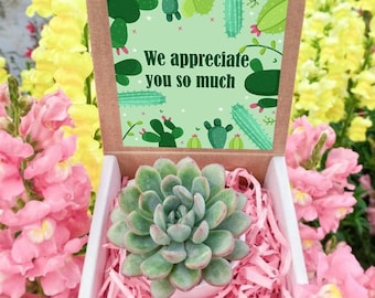 Appreciation Gift Box - Succulent Gift Box - Thank You For Helping Me Grow Gift box- Appreciation box - Teacher Thank You Gift Box