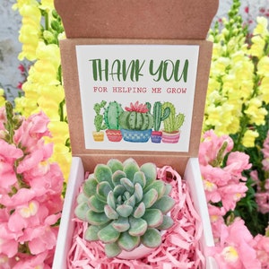 Succulent Gift Box - Thank You For Helping Me Grow Gift box- Appreciation box - Teacher Thank You Gift Box