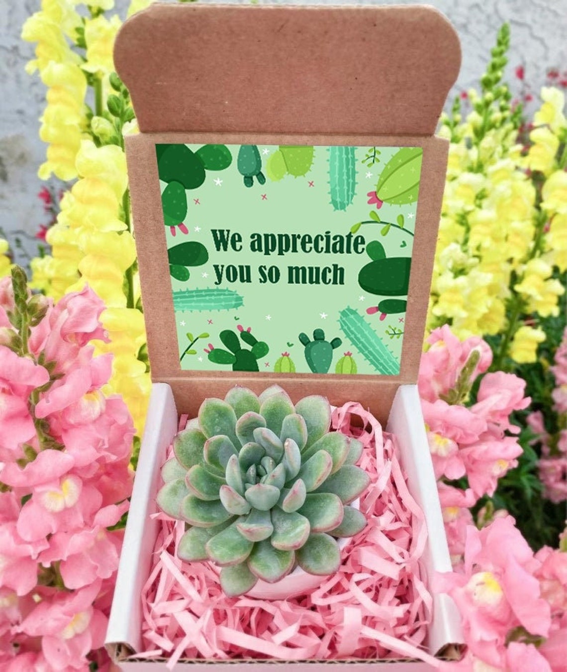 Appreciation Gift Box Succulent Gift Box Thank You for Etsy