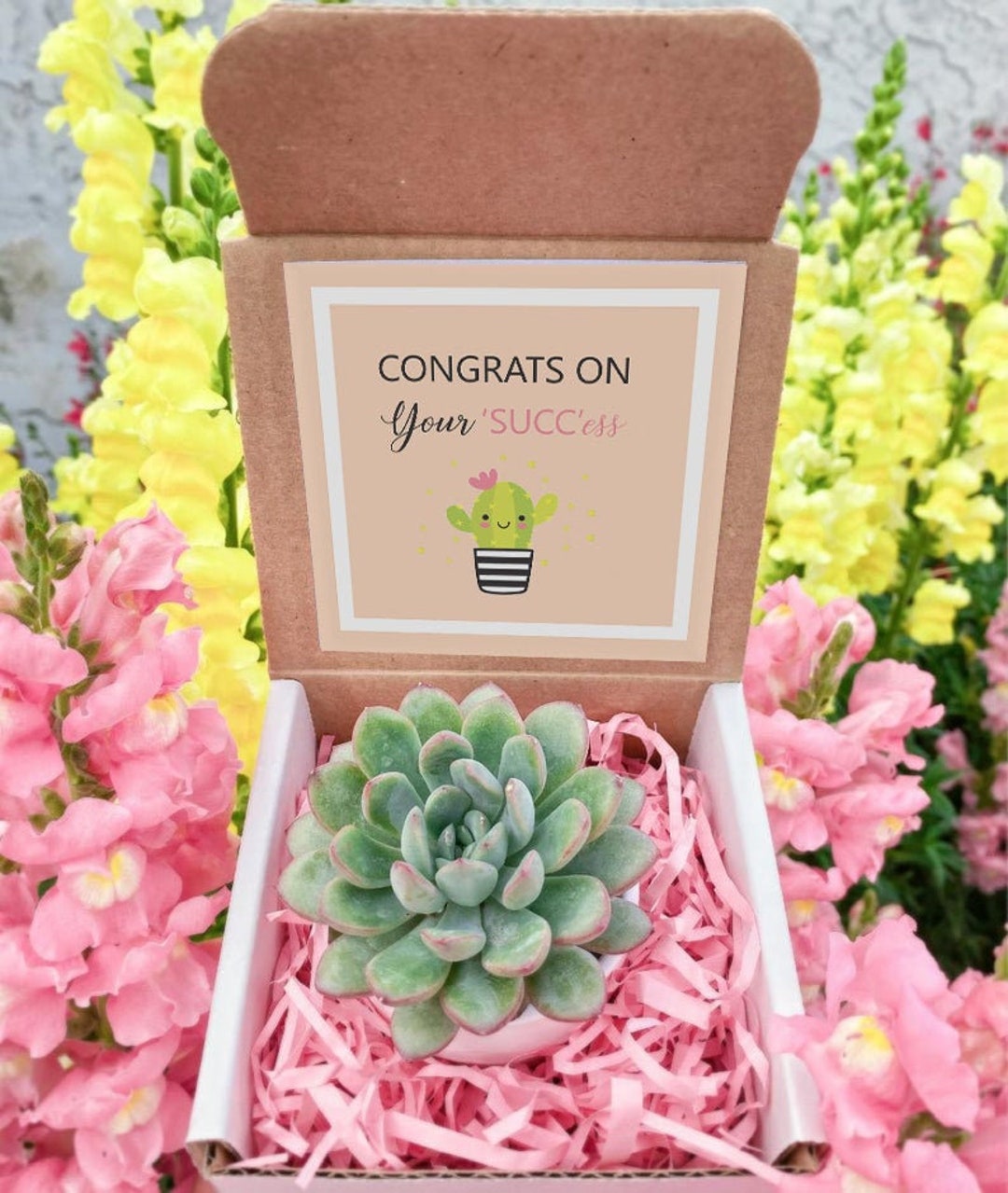 Wedding Succulent Party Favors Gift With Burlap Rustic, Set of 10, Wedding  Days Favors, Birthday Succulent Favors, Bridal Shower Favors 