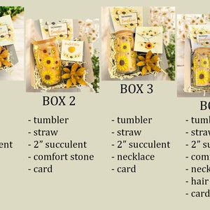 May include: Four gift boxes with a sunflower theme. Each box contains a tumbler, straw, and other items like a succulent, comfort stone, necklace, or hair claw. The boxes also include a card with the text "Sending Sunshine".