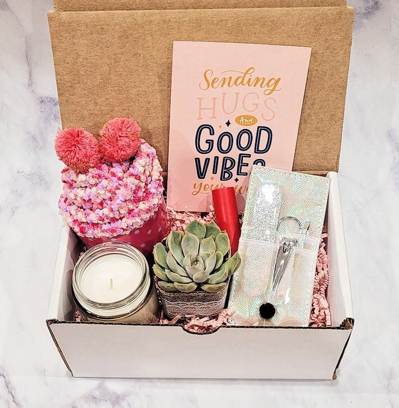 Cheer Up Succulent Gift Box for Best Friend Sending Good