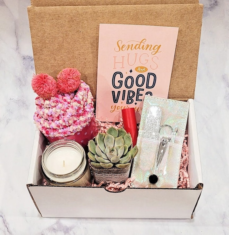 Cheer Up Succulent Gift Box for Best Friend Sending Good