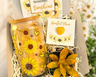Cheer Me Up Succulent Gift Box With Comfort Stone