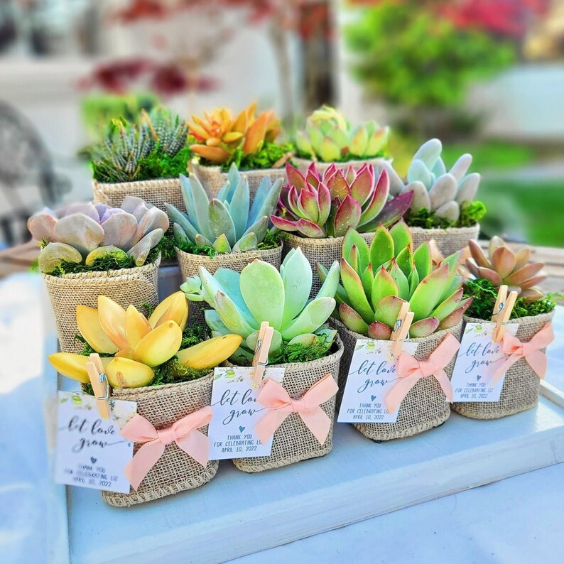 Birthday Party Favors Gifts With Burlap Rustic Set of 15 Etsy