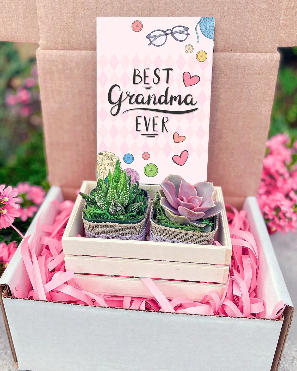 Best Grandma ever gift box Grandma Succulent Gift box Etsy