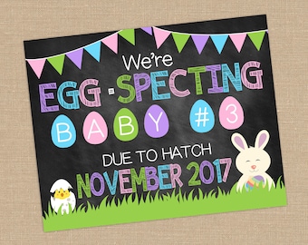 Ostern Schwangerschaft Ankündigung. We're Eggspecting Baby #2 #3. April Ankündigung. Passend zu Hatch Photo Prop. Frühling Schwangerschaft Ankündigung.