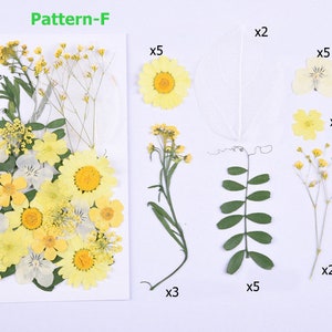 Dried Flowers for Resin, Pressed Flowers, DIY Natural Plant Specimens, Dried Flowers for Nails, Resin Fillers, Handmade Herbarium Decor Pattern-F
