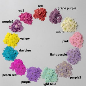 Petits sakura séchés pressés, fleurs de cerisier séchées, pétale naturel pour coque d'iPhone/iPad, fabrication artisanale - 12 pièces/paquet