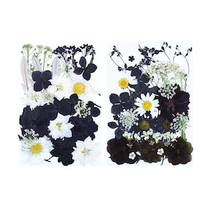 30 pcs/paquet fleurs pressées de style gothique, mélange de fleurs séchées noir et blanc/feuille/tige/pétale pour résine, fabrication de cartes, signets