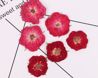 30pcs/pack (2.5-4cm) Dried Flowers for Resin, Dried Flowers for Nails, Pressed Flowers, Natural Rose Flowers for Handmade iPhone Case Decor