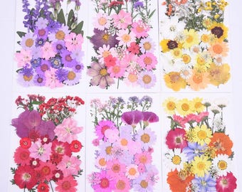 Bulk Mixed Pressed Flowers & Real Leaves for Resin Crafts, Bookmark Making, Phone Case Decor, Face Makeup Petals