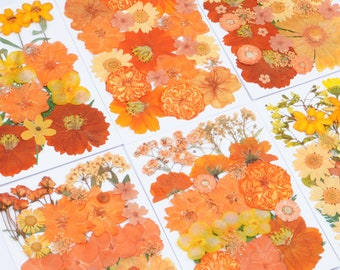 Rosas naranjas prensadas, flores secas para resina, mezcla floral naranja para joyería, materiales para scrapbooking de otoño, marcapáginas y manualidades DIY.