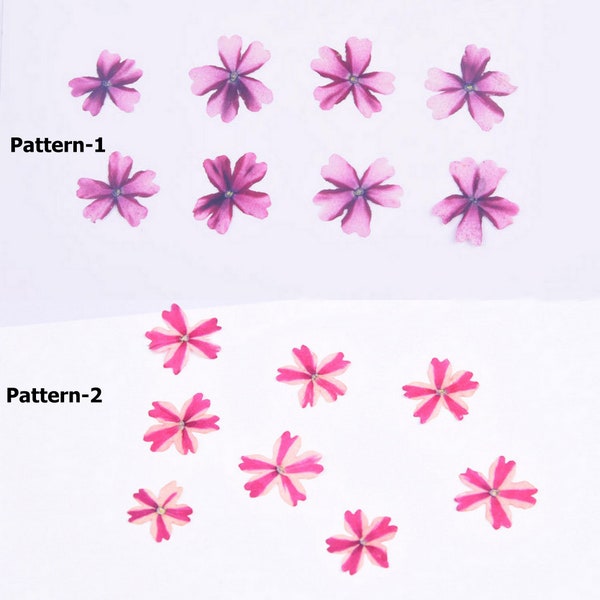 Gedroogde bloemen voor nagels, echte verbena, nagelbloemen, geperste bloemen schoonheid Sakura Petal voor handgemaakte crafting botanische sieraden