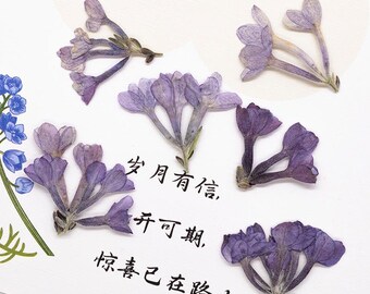 12pcs/pack Real Pressed Lilac Flowers, Dried Purple Lilac Petals for Resin Jewelry, Candle Making, Scrapbooking
