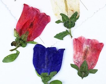 Paquete de 12 campanillas prensadas, flores preservadas para joyería, relleno de resina, decoración de bodas, velas y jabón.