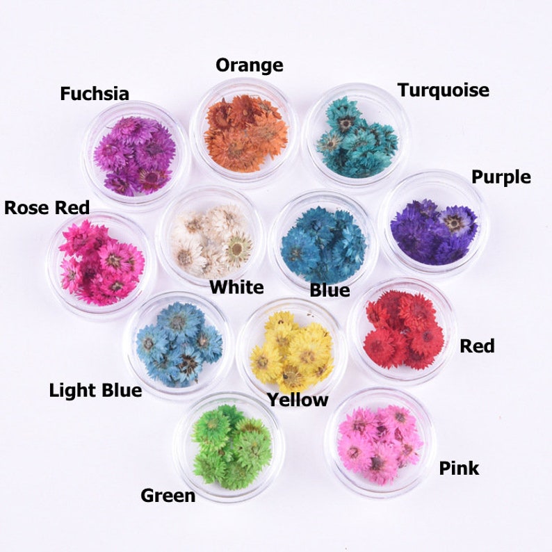 Dried Flowers for Nails Pressed Flowers Dried Flowers for Etsy