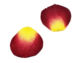 12pcs/pack Large Pressed Rose Petal, Natural Color Dried Flower Petals for Handmade Crafting Genuine Botanical Jewelry