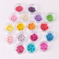 20pcs Mini Dried Pressed Flowers for Nail Art Manicure/Pedicure Deco 6mm Kawaii Natural Daisy Daffodil Five Leaf Daffy Flowers