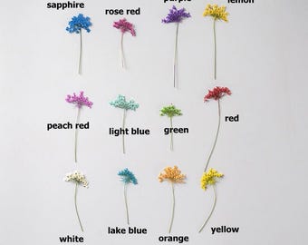 12pcs/pack Pressed Queen Anne's Lace Flowers, Real Dried Flower with stem for Nail Art, iPhone/iMac Case Decor, Wall Art
