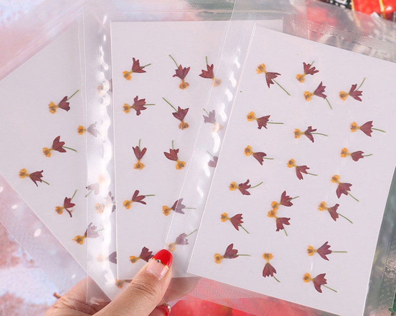 Mini Pressed Dried Flowers for Nail Art Pedicure/Manicure Deco, Tropical Milkweed Dancing Flower for Handmade Crafting 20pcs/pack image 5