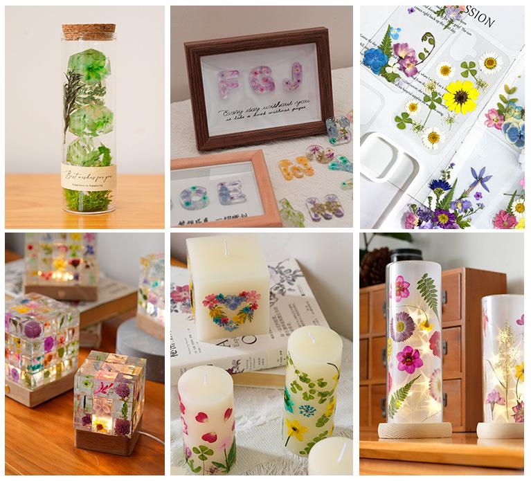 12個/パック 押し花 茎付き 天然乾燥ヤグルマギク ローレンシア