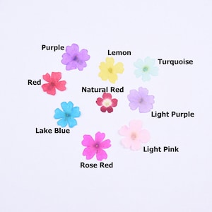12 pezzi da 1-2 cm piccoli fiori secchi pressati petali di sakura naturali per custodia per iPhone/iPad design artigianale autentico esemplare botanico