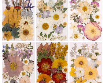 Tea Brown Pressed Flowers and Leaves, Real Dried Flowers for Resin Craft, Bookmark Making, Handmade Botanical Art
