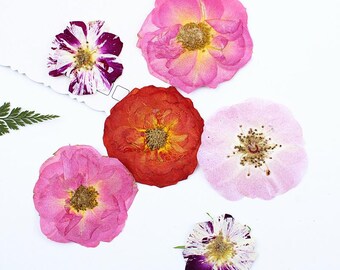 12pcs/pack Pressed Rose Flowers, Large Dried Rose for Tablet Case Decor, Bookmark Ornament, Photo Framing, DIY Jewelry Making, Resins
