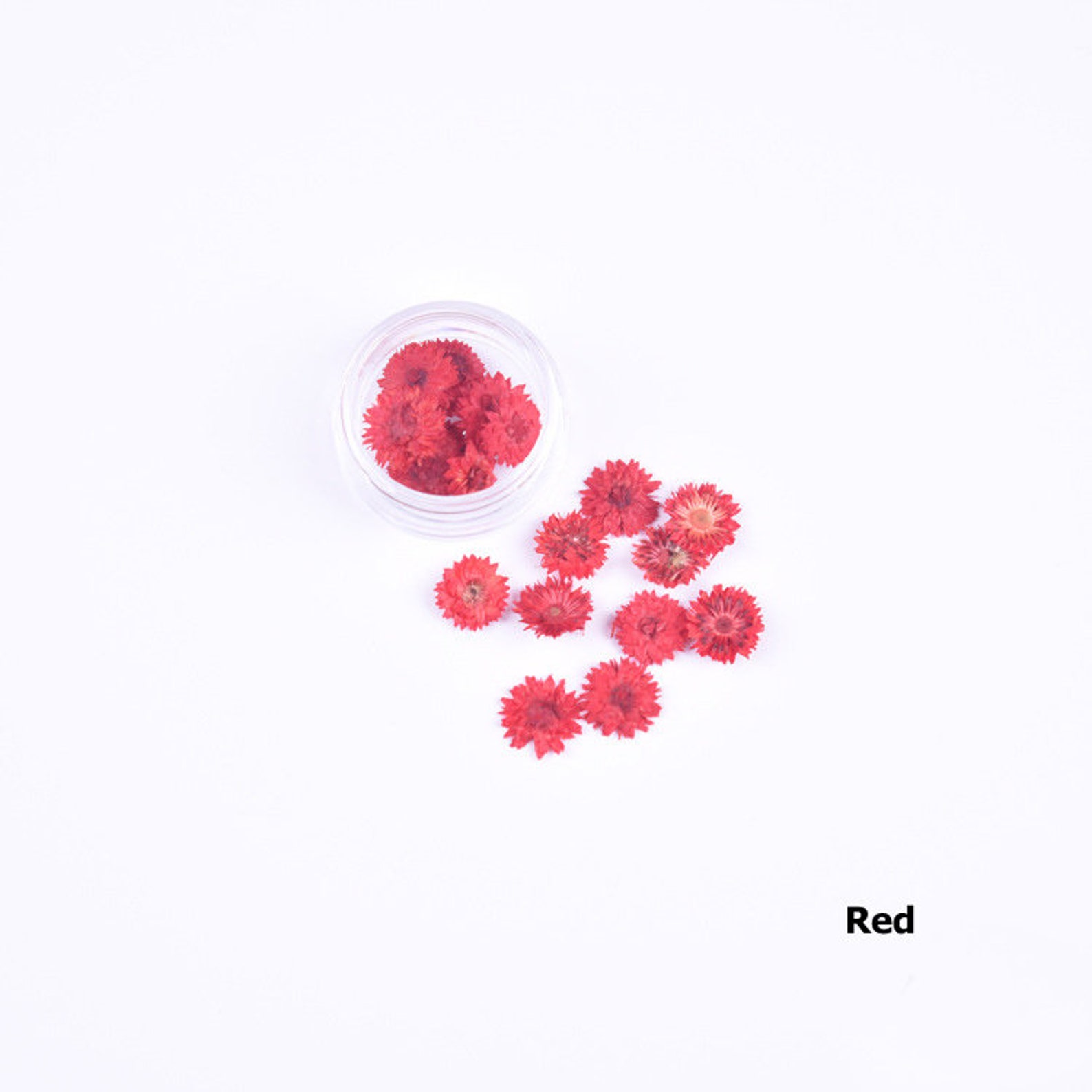 Dried Flowers for Nails Pressed Flowers Dried Flowers for Etsy