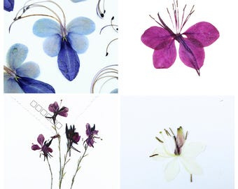 12pcs/pack Pressed Flowers, Natural Dried Butterfly Flowers for Resin Fillers, Nail Arts, iPhone Case Decor