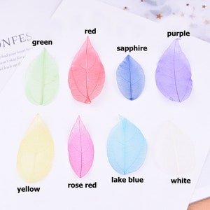 12 stks/2 pakken grote geperste bladnerf, gedroogde skeletbladeren voor scrapbooking, kaarten maken, geperste bloemen voor decor iPhone-hoes