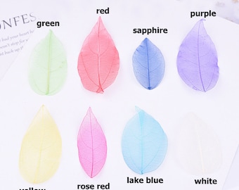 12pcs/2packs Large Pressed Leaf Vein, Dried Skeleton Leaves for Scrapbooking, Card Making, Pressed Florals for iPhone Case Decor