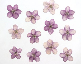 12pcs/pack Dried Pressed Flowers, Real Pressed Malus Spectabilis for Resin Craft, Card Making, iPhone Case Decor