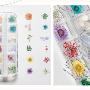 May include: A clear plastic box with 16 compartments filled with pressed flowers and leaves. The flowers are in various colors, including pink, purple, blue, yellow, and red. The leaves are green and brown. The box is on a white surface.