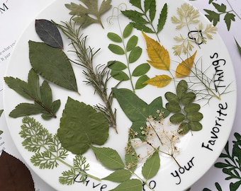 12pcs/pack Dried Green Leaves for Resin Art, Pressed Fern Bamboo Eucalyptus Mugwort Leaves for Candle Making, Botanical Crafts Supply
