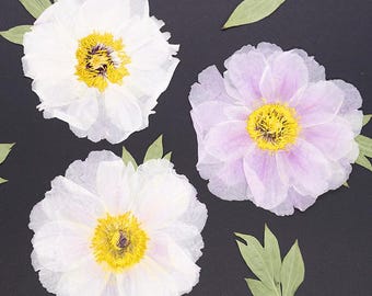 1 unidad/paquete de flores de peonía prensadas, peonías secas estilo pintura al óleo para bandeja de resina, arte de pared