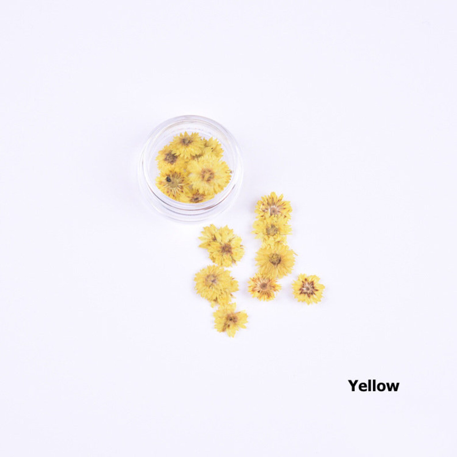 Dried Flowers for Nails Pressed Flowers Dried Flowers for Etsy