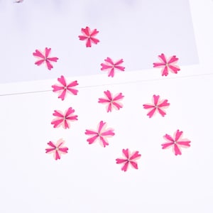 24 Stück / 2 Packungen gepresste Blumen, natürliches Eisenkraut Sakura Blütenblatt für Nägel, Harzfüller, handgemachtes Journal, Tropfen Ohrringe