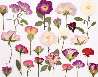 12pcs/pack Pressed Rose Flowers Collection, Natural Dried Flowers & Leaves for Tablet Case Decor, Bookmark Ornament, Resin Jewelry