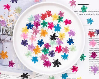 12pcs/pack 1-2cm Pressed Sandalwood Flowers, Real Dried Flower Heads for Resin Jewelry, Nail Art, DIY Phone Case, Candle Making
