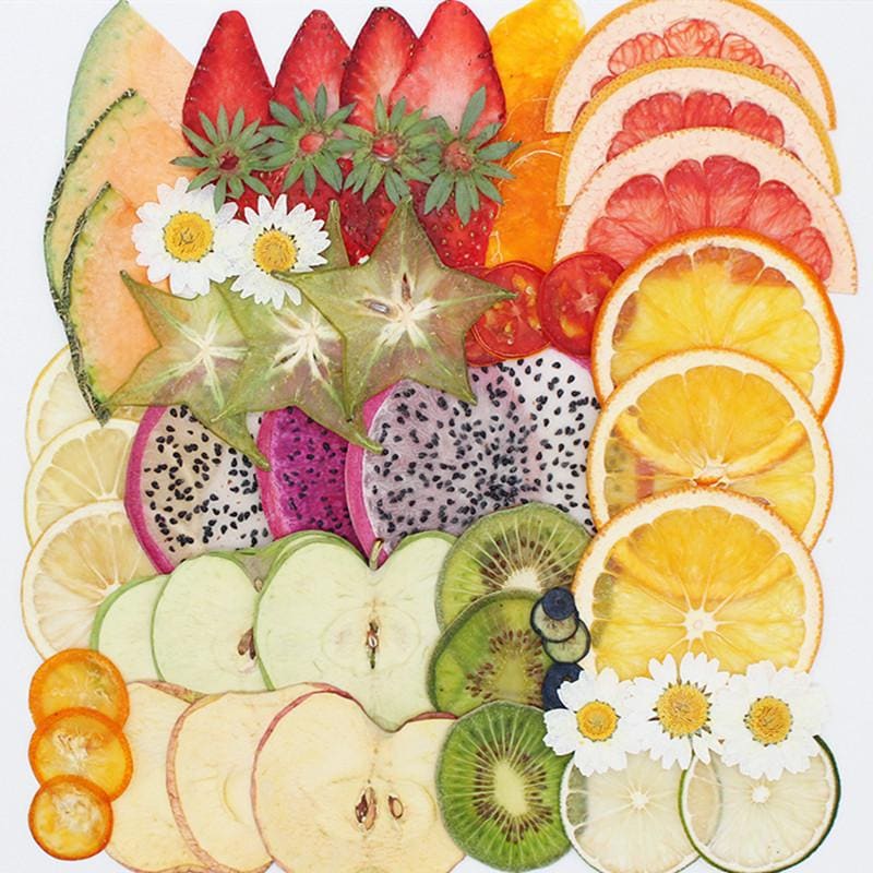 12pcs/2packs Real Dried Pressed Fruit Slices, Natural Dried Blueberry, Kumquat, Okra, Carrot for DIY Candle Soap Making, Resin Art Decor