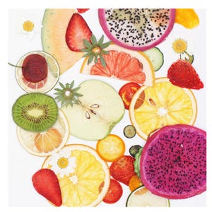Op de afbeelding: Een verzameling van diverse plakjes fruit en kleine witte bloemen gerangschikt in een collage. De weergave bevat dwarsdoorsneden van drakenfruit, kiwi, sinaasappel, grapefruit, appel, aardbei, kers en kumquat met levendige kleuren.