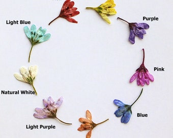 12pcs/pack Pressed Dried Flowers, Natural Wild Preserved Flat Flower for Handmade Case Design Decor & Nail Art Manicure/Pedicure Deco